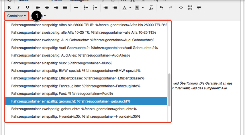Fahrzeugcontainer einsetzen